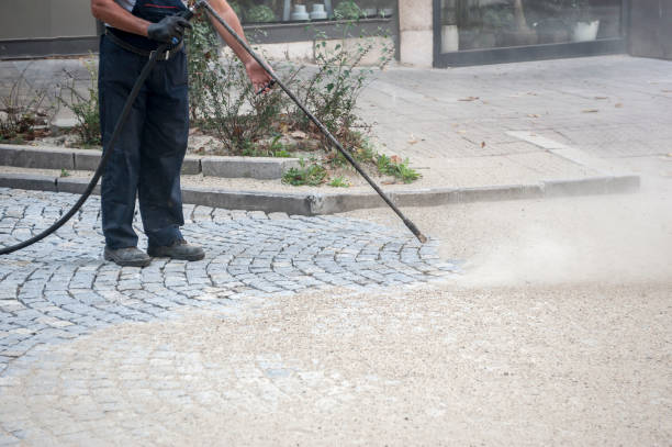 Best House Exterior Washing  in Savage, MD